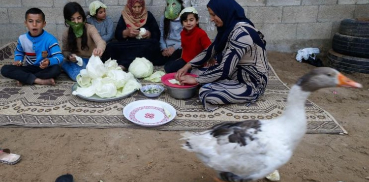 The US administration is allocating $ 5 million in international aid to the West Bank and Gaza