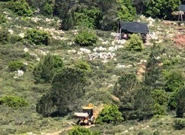 Sweeping wide lands in the Fukin Valley, claiming to search for antiquities