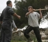 Settlers attack a citizen and steal his sheep, north of Nablus
