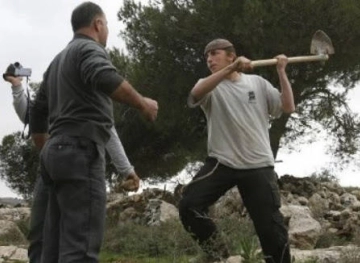 Settlers attack a citizen and steal his sheep, north of Nablus