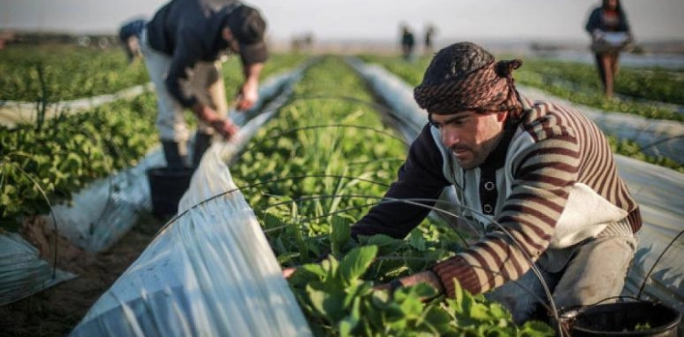 Gaza: The occupation targets fishermen, farmers and sheep herders