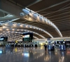 United Nations: global tourism may drop by 80% by the end of the year