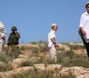 Settlers steal farmers&acute; crops in Yatta