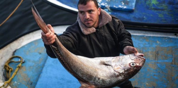 A human rights center: the occupation forces injured 4 fishermen in Gaza in April