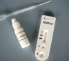 Gaza. No new infections with CORONA virus after 33 samples examined
