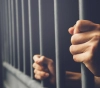 Report: 197 detainees held by the occupation last April