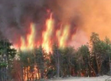 Settlers set fire to agricultural land east of Tulkarm