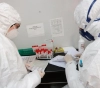 Gaza: two new cases of the Corona virus recovered