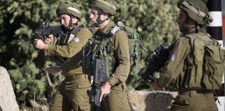 Occupation arrests two young men from Tulkarm