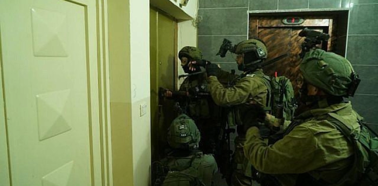The occupation arrests 8 citizens from the West Bank