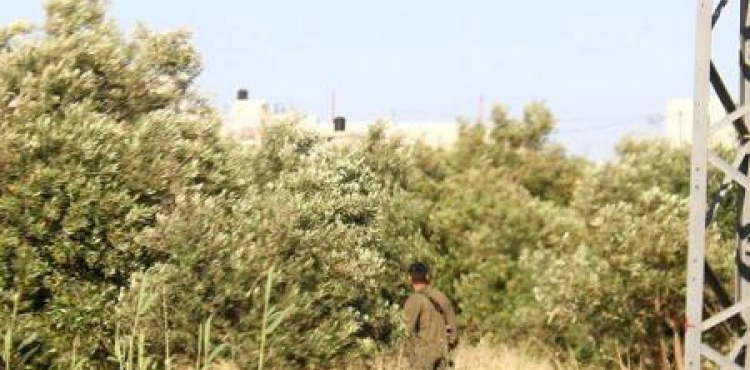 The occupation forces apply strict measures against the citizens in the vicinity of Tuqu &acute;
