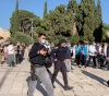 75 settlers break into al-Aqsa and arrest 6 citizens