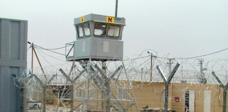 800 Palestinian prisoners since the beginning of Corona, half of them from Jerusalem