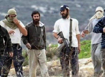 Settlers forcibly expel farmers from their lands east of Bethlehem