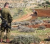 The occupation notifies the seizure of 160 dunums of Qalqilya lands