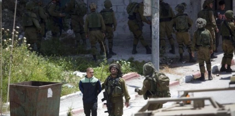 PrisonersÂ´ establishments: The occupation forces arrested 340 citizens last May