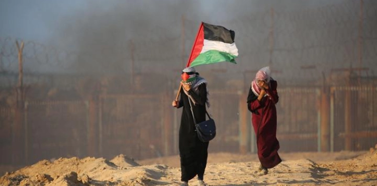 Al-Mezan Center presents a testimony to an international investigation committee on the aggression attacks in Palestine