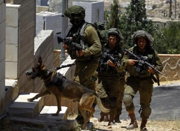 The occupation forces raided 50 houses in Al-Auja