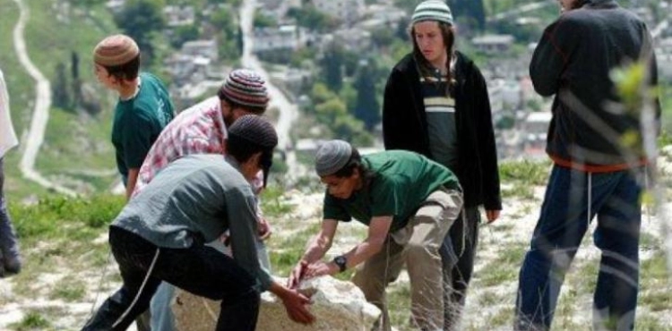 Members of the US Congress demand an end to &quot;settler violence&quot;