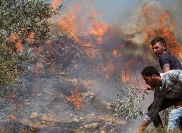 Settlers set fire to Madama land