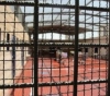 Hamdouna: The occupation presents the sick prisoners to the doctors via video conference
