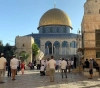 Dozens of settlers led by extremist Glick storm &quot;Al-Aqsa&quot;