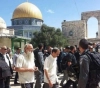 215 settlers break into Al-Aqsa under the protection of the occupation police