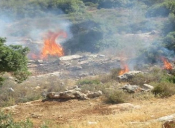Settlers burn lands south of Nablus