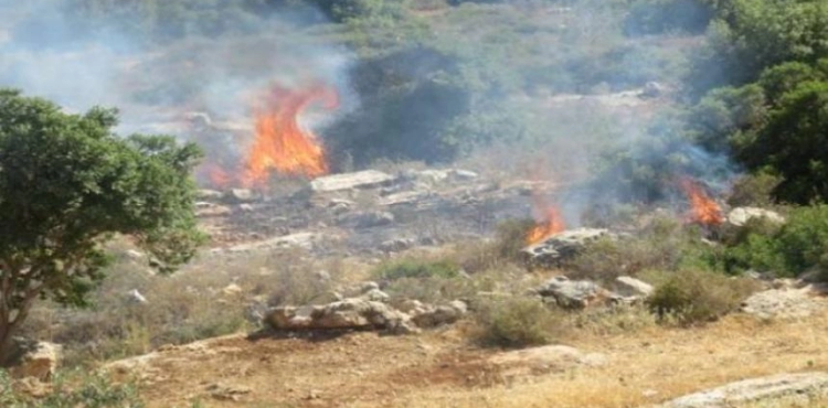 Settlers burn lands south of Nablus