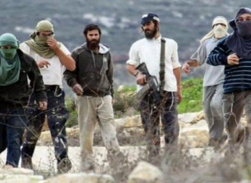 A child was bruised after settlers attacked in Bethlehem