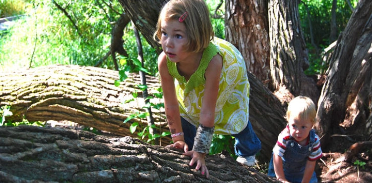 Warnings of the &quot;destructive&quot; effects of the stone on children