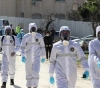 24 new cases of Corona: 22 in Hebron, two in Nablus, and the number of cases increased to 108 on Saturday