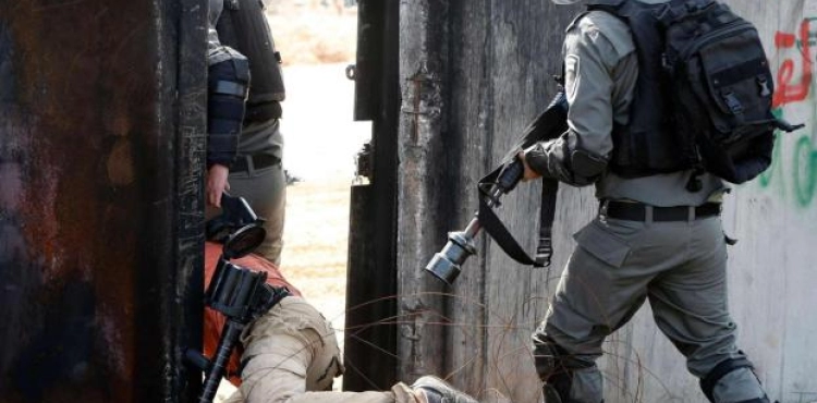 Occupation arrests 14 Palestinians
