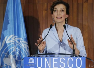 UNESCO is concerned to &quot;use excessive force&quot; against journalists
