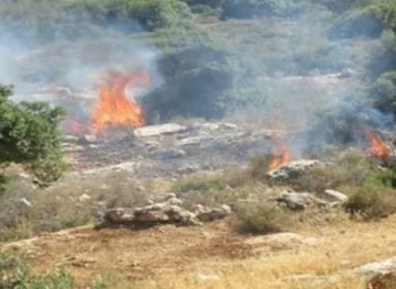 Settlers burn dozens of agricultural acres north of Nablus