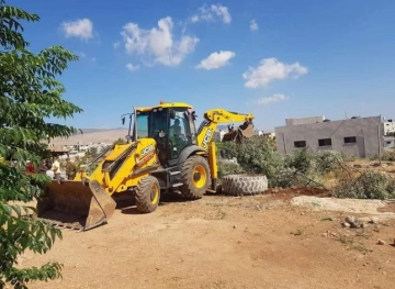 The occupation uproots dozens of olive trees in Bardala in the Jordan Valley