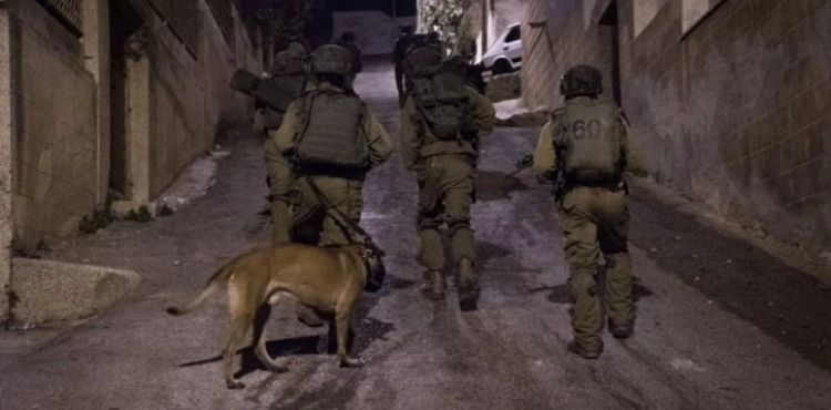 Al-Asir Club: The occupation forces arrest 10 citizens from the West Bank, including two brothers