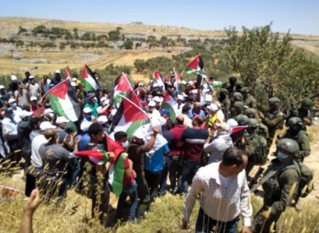 The occupation suppresses a peaceful activity against settlement in the foothills of Jabal Ebal, north of Nablus