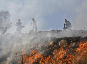 Settlers set fire to olive trees in Hawara
