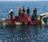 172 violations of fishermen&acute;s rights since the beginning of the year
