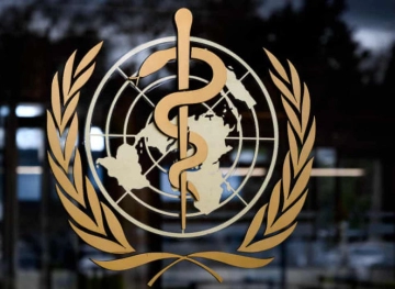 WHO warns that world will not regain &quot;in the foreseeable future&quot;