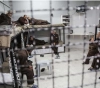 Farwana: 50 prisoners have been arrested for more than 20 years