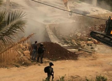 House demolitions and uprooting of trees in Salfit and Hebron