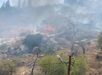 Settlers burn lands planted with olives and almonds in Hawara