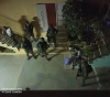 Occupation arrests 13 citizens in the West Bank