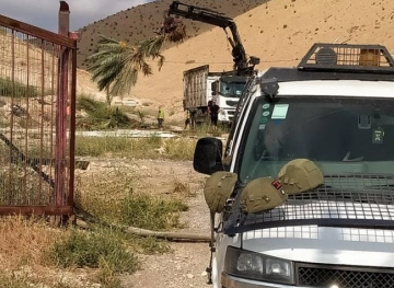 The occupation uproots 100 palm trees in Al-Jiftlik