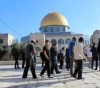 The settlers continue to storm Al-Aqsa and their efforts to change the situation in it