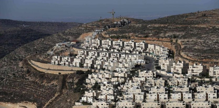 Report: The launch of the settlement project in (E1) with American cover