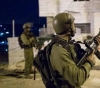 The occupation arrests 11 citizens