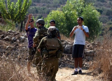 Settlers uproot olive seedlings in Asira Ash Shamaliyah, Nablus